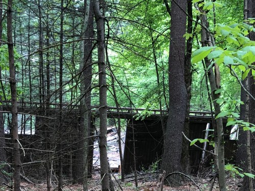 052520-.woodland-mystery