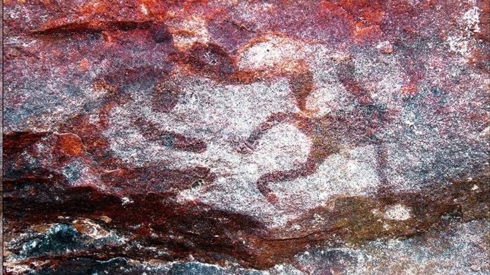 500-year-old-rock-art-may-have-been-made-with-beeswax