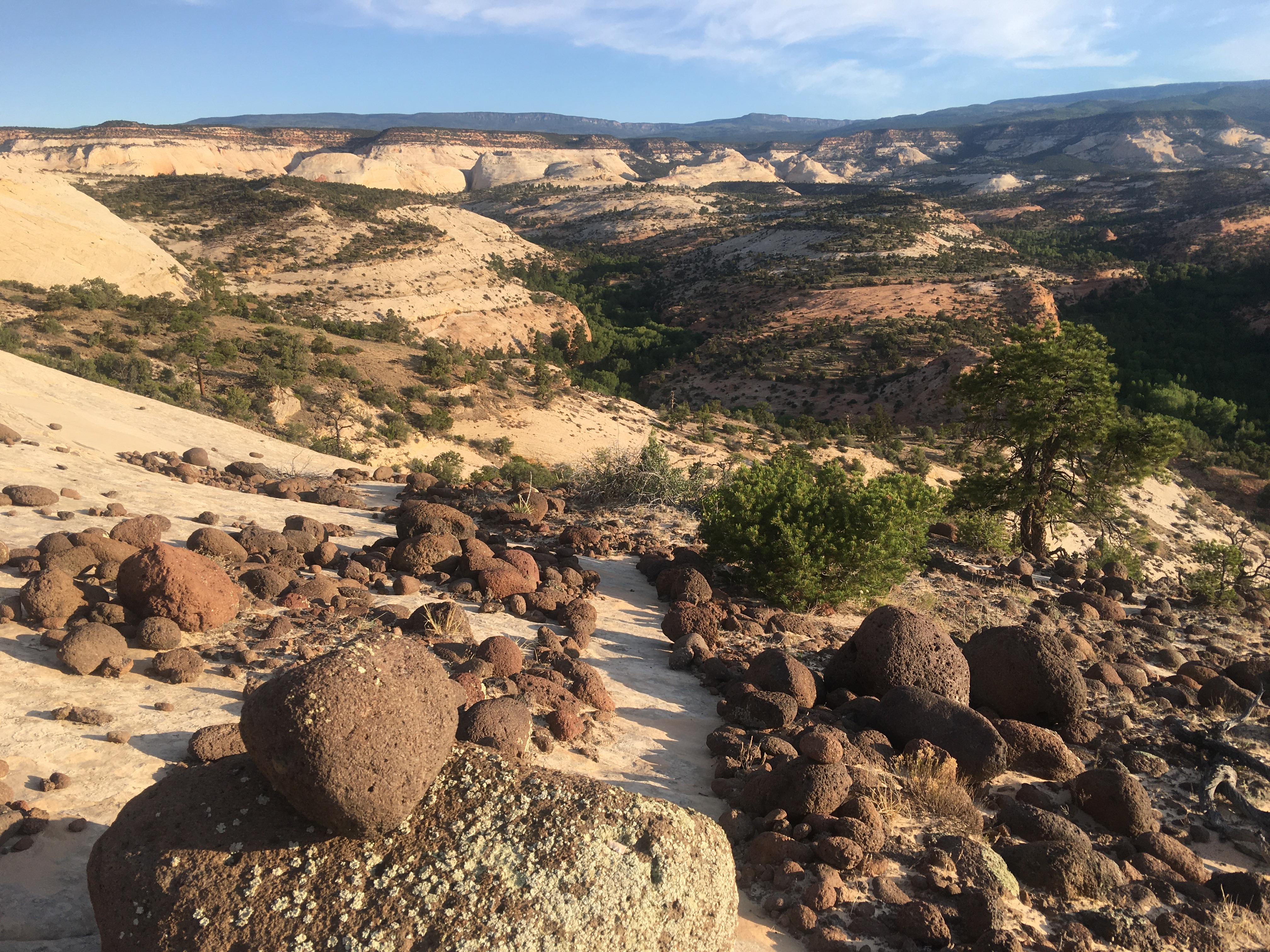062720-Caroline-Cummings-Hoyt-Utah-path