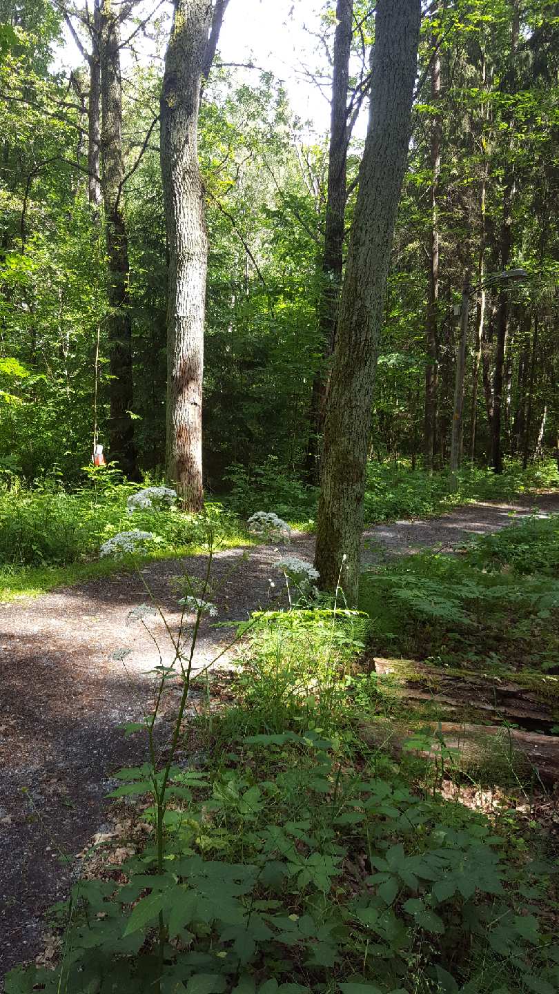 062920-Margareta-walks-in-Stockholm