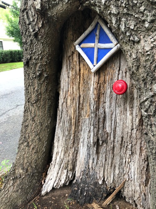 070320-fanciful-tree-additons