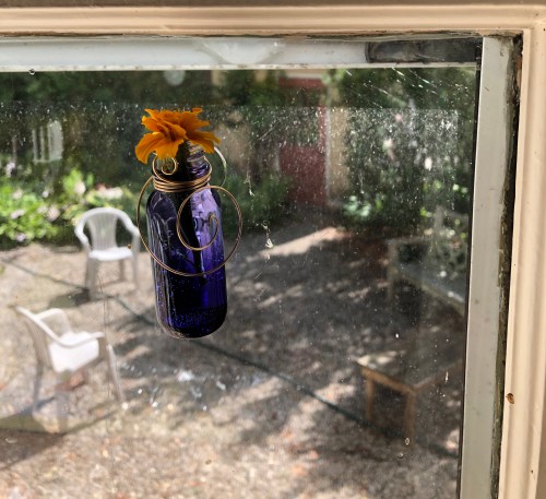 071120-window-marigold