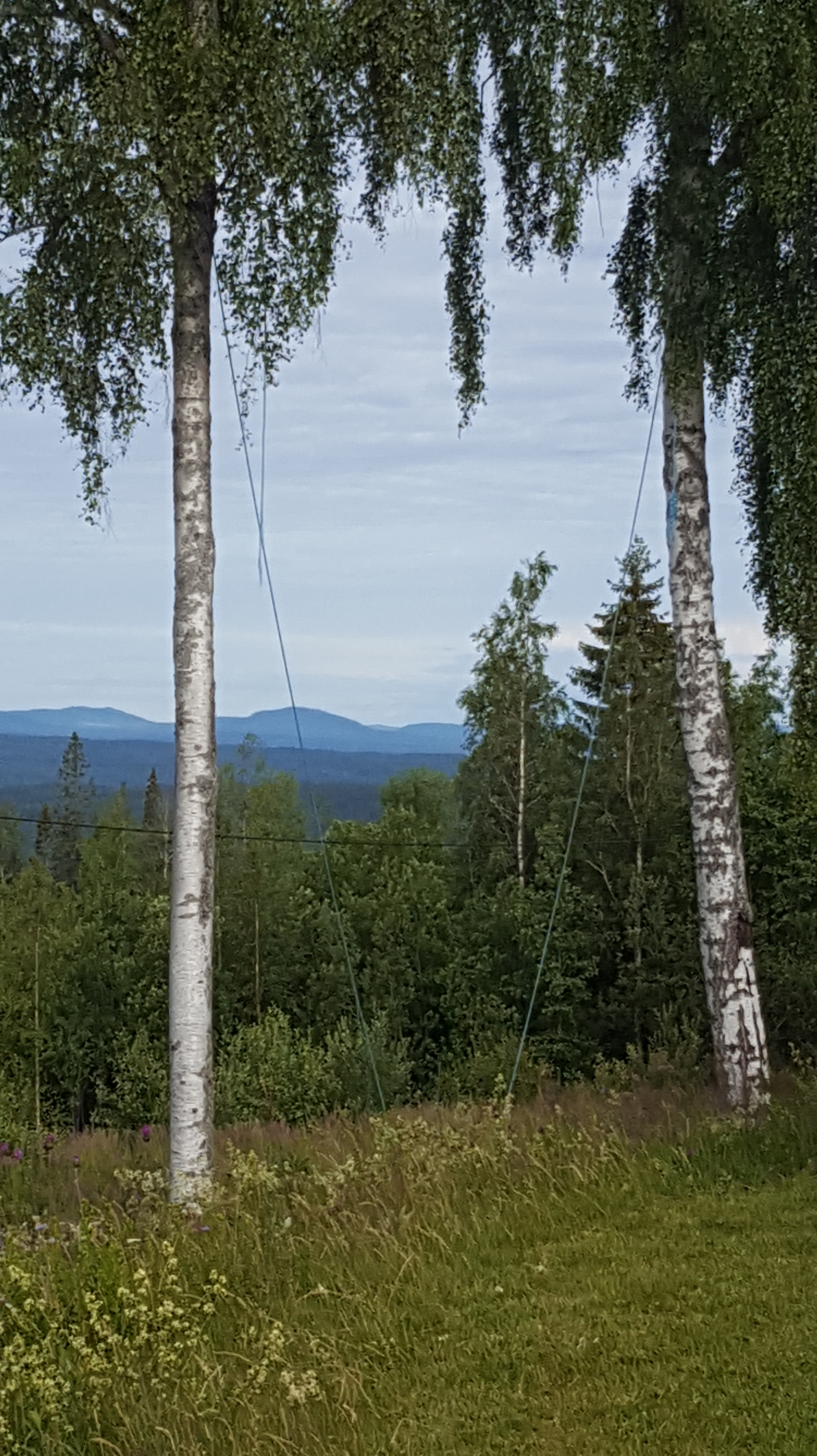 20200710-Dalecarlia-Sweden