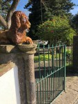 041023-Azores-magic-tree-lion